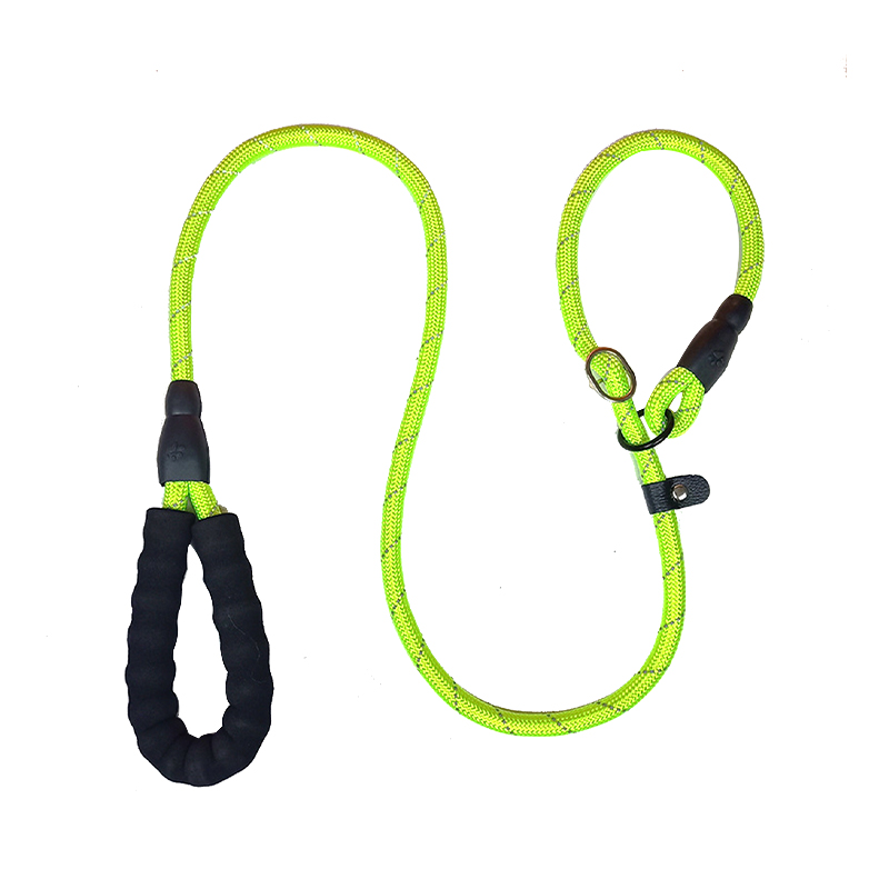 Haustiertraining Leine P-Kette