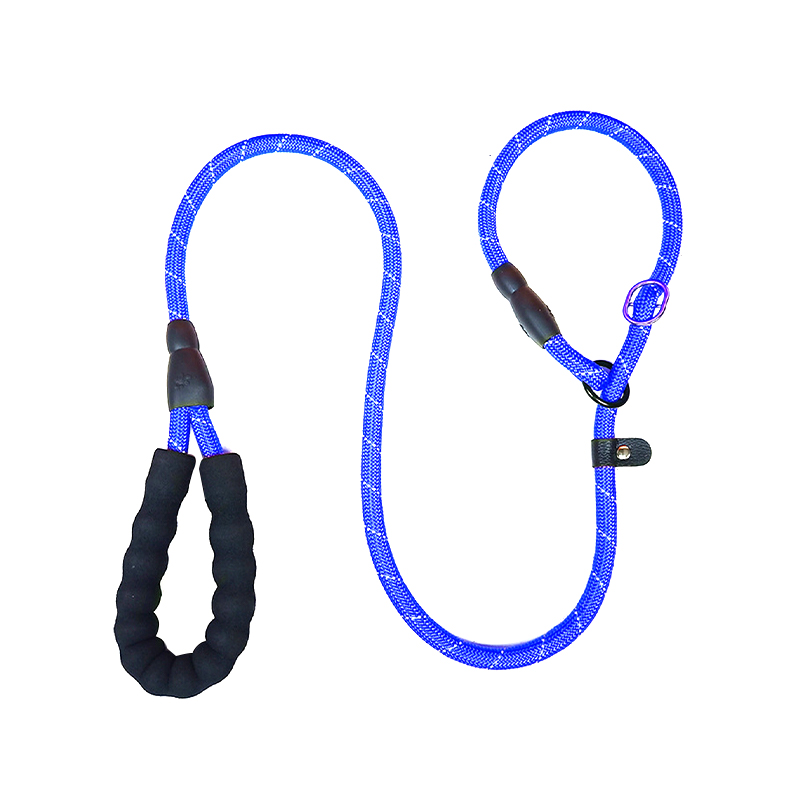 Haustiertraining Leine P-Kette