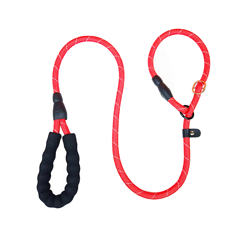 Haustiertraining Leine P-Kette